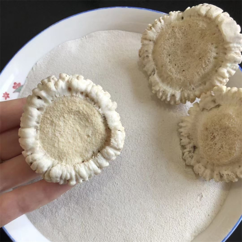 鹿角帽粉 鹿托盘粉鹿角帽超微粉 鹿角帽粉直播真正货源鹿托盘直播