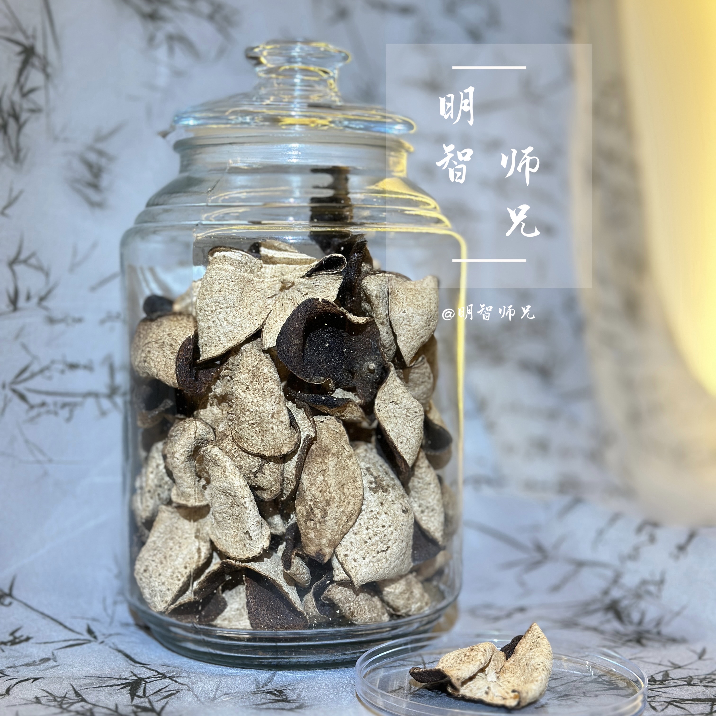 【明智师兄 】自然陈化12年新会陈皮 陈香天赐 时光知味