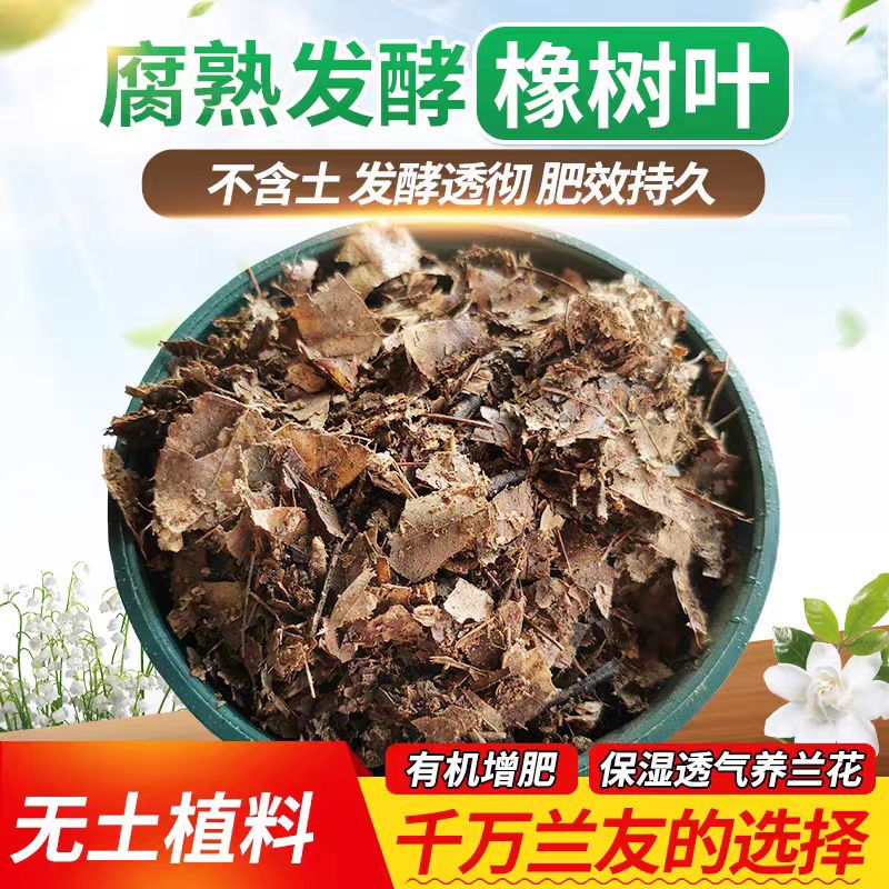 君子兰 花土 栽种花卉 绿植 栽花透气 橡树叶 营养土 五斤装 包邮