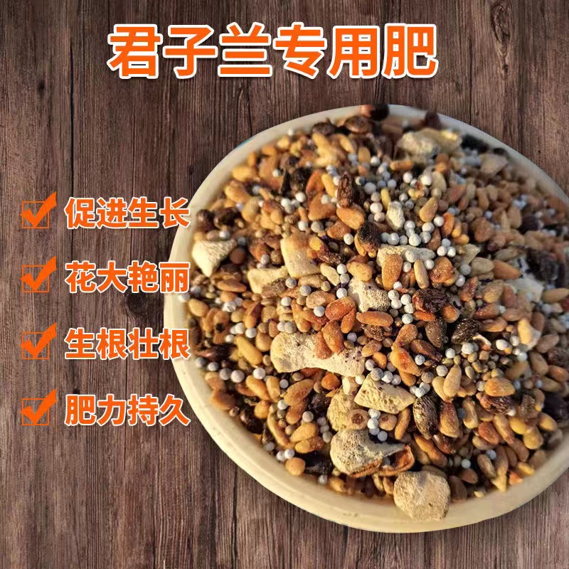 君子兰 花卉 盆栽 长期肥料 自用 有机混合肥 腰肥 二斤装 （炒熟）