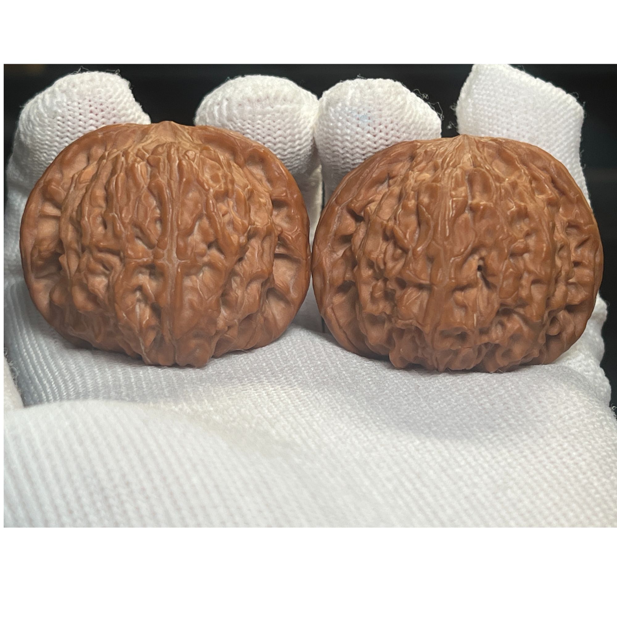 43尺正磨磨盘狮子头