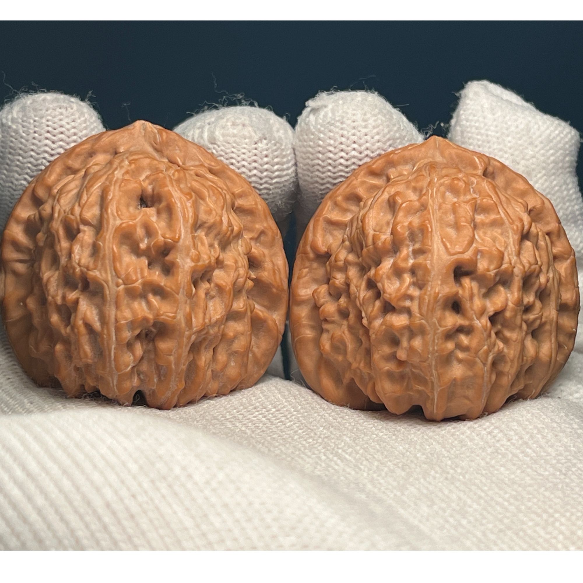 蓟县盘山山地三角白狮子头S401601