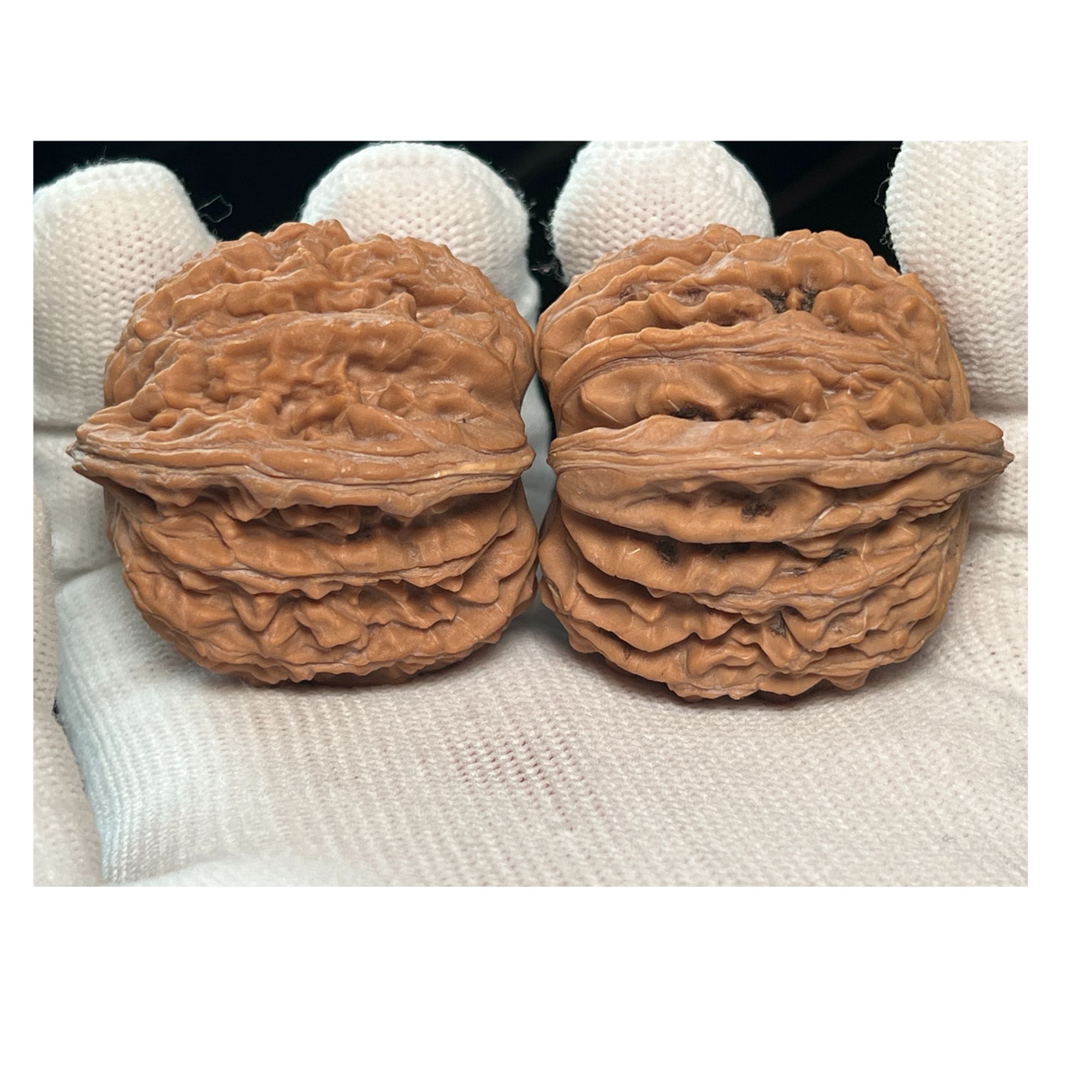 蓟县盘山山地楼L442901