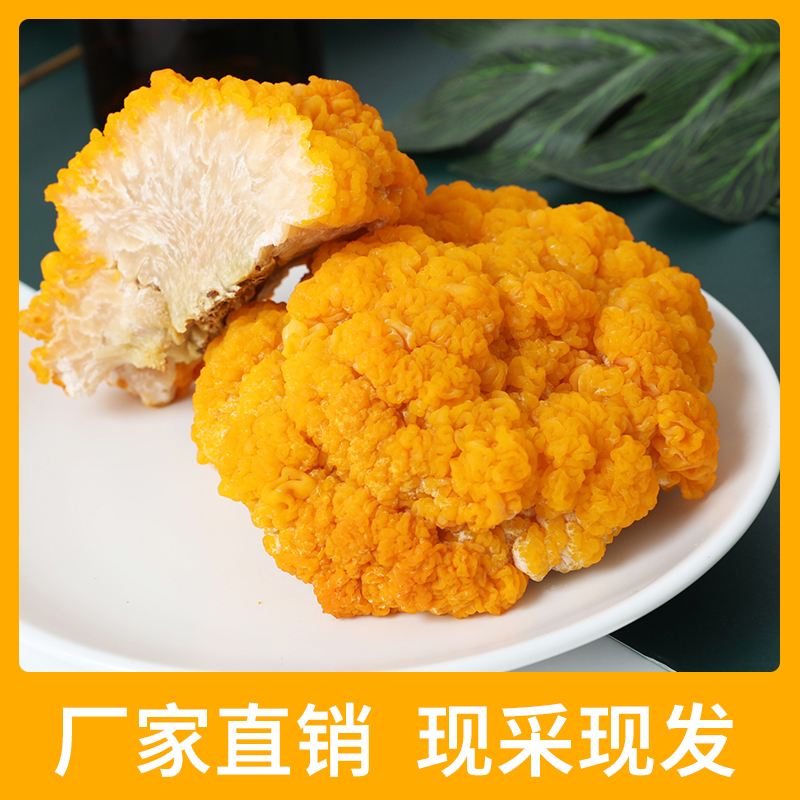 新鲜黄金耳1斤 京东冷链顺丰包邮