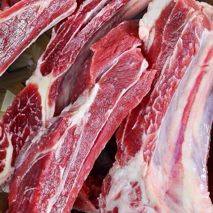 清真新鲜多肉牛肋排特价批发正宗黄牛排带骨牛肉块红烧商用微调理