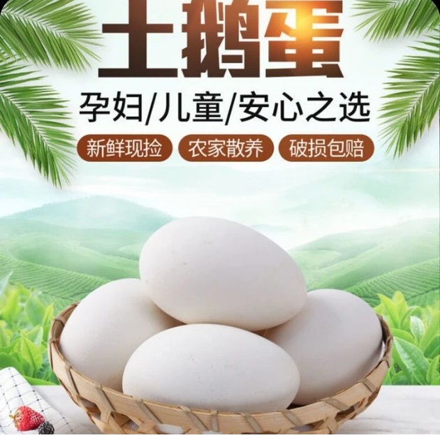 农家散养大鹅鹅蛋适合老人孕妇小孩爱满老白新鲜包赔美味