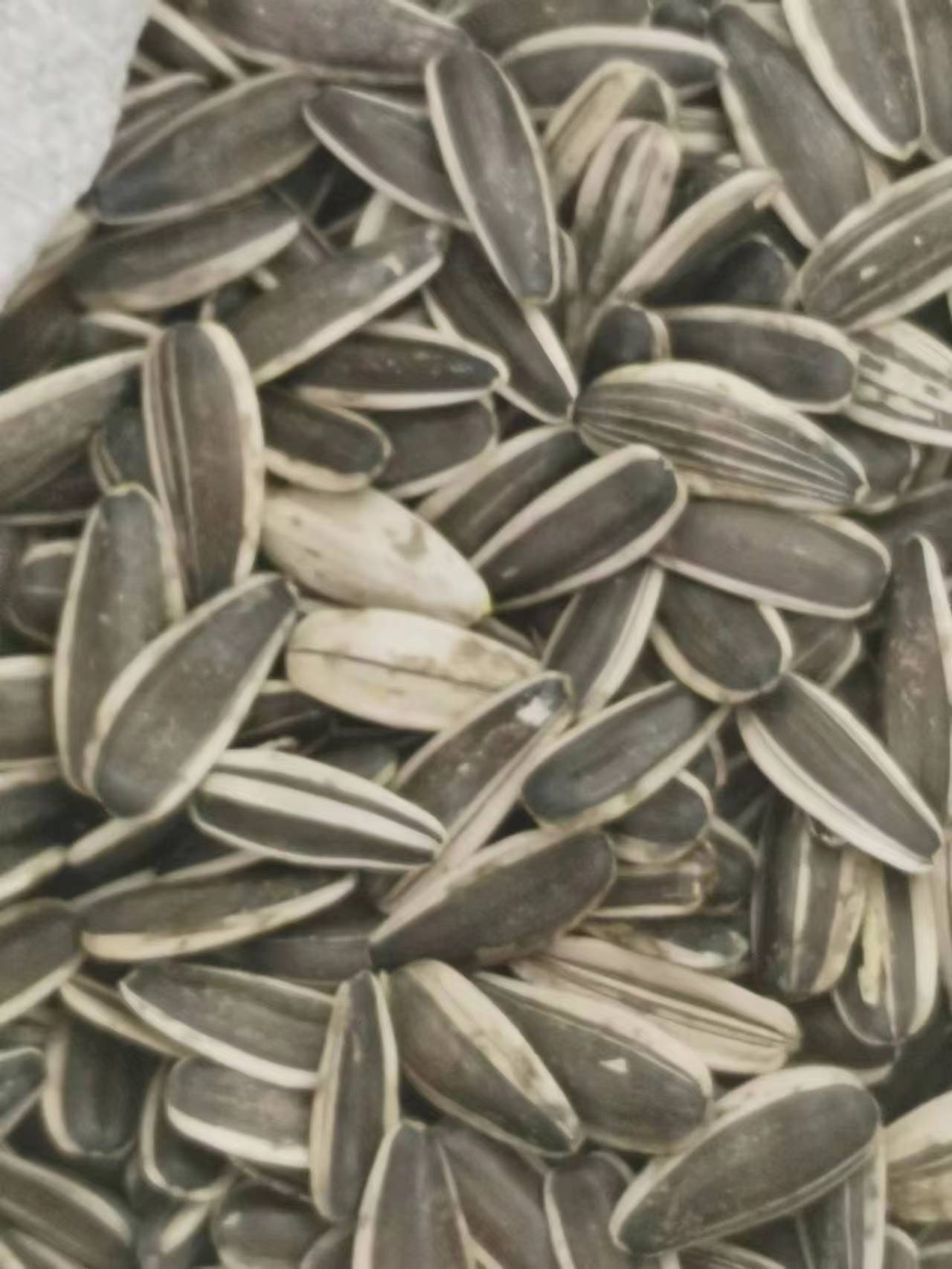 农村正宗葵花熟瓜子4斤装