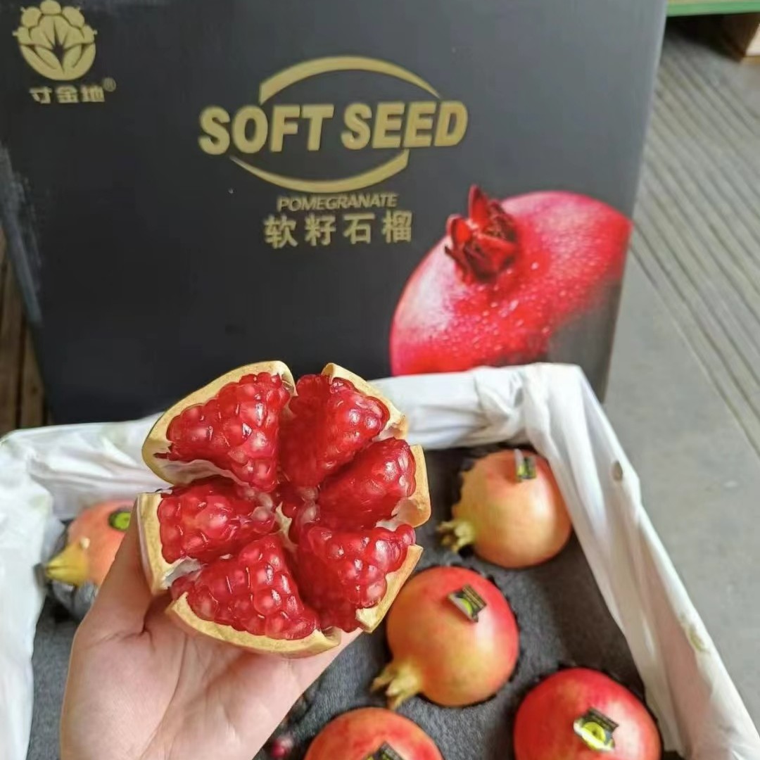 寸金地突尼斯软籽石榴--自行选择