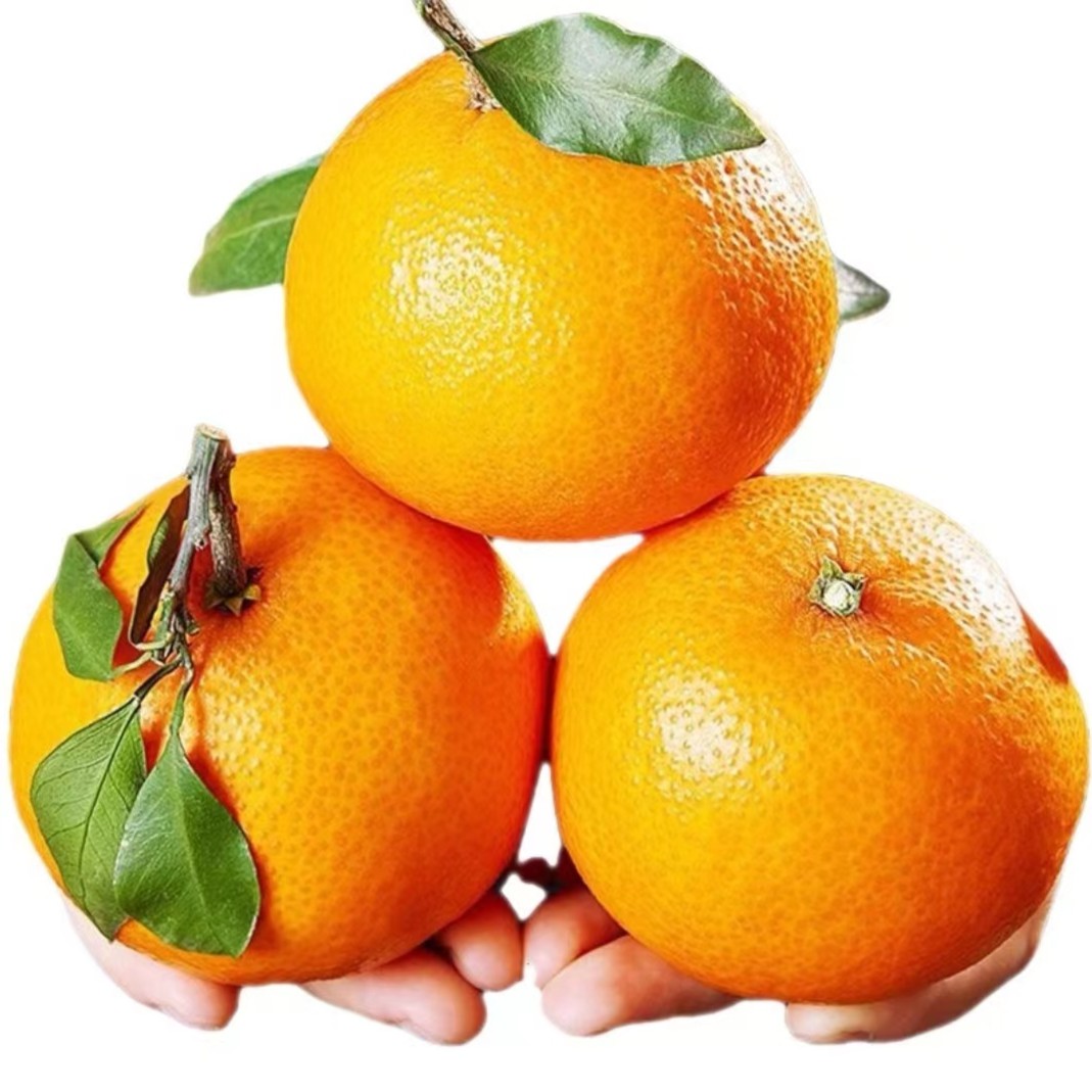 [太原玲姐]爱媛果冻橙香甜饱满皮薄多汁新鲜水果