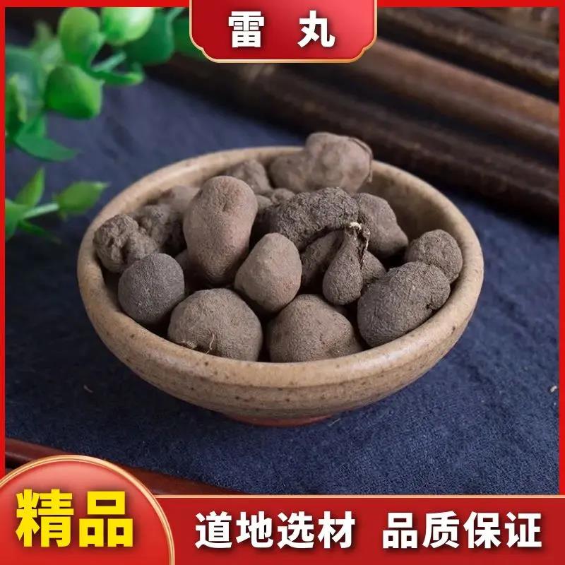 【特产雷丸】雷丸无硫竹林子新货木连子叶菜50包邮