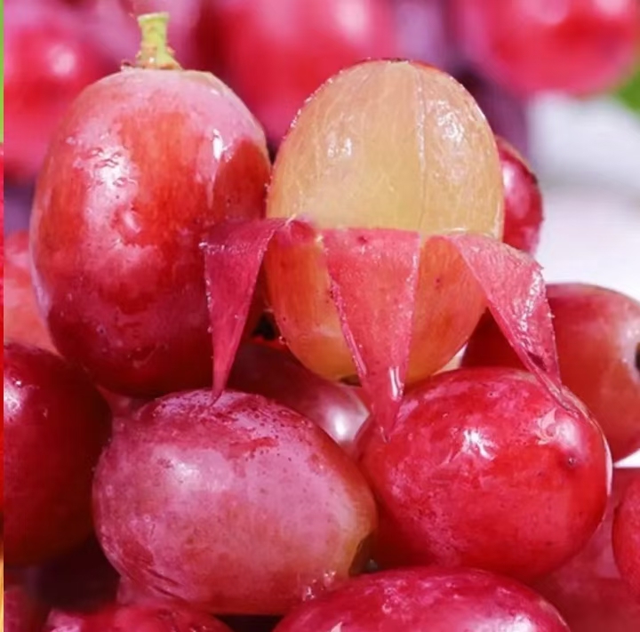 克伦生无籽红提一斤装