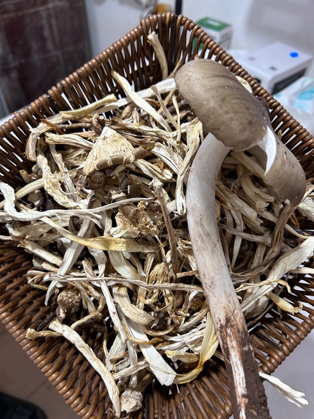 四川鸡枞菌干货/100g