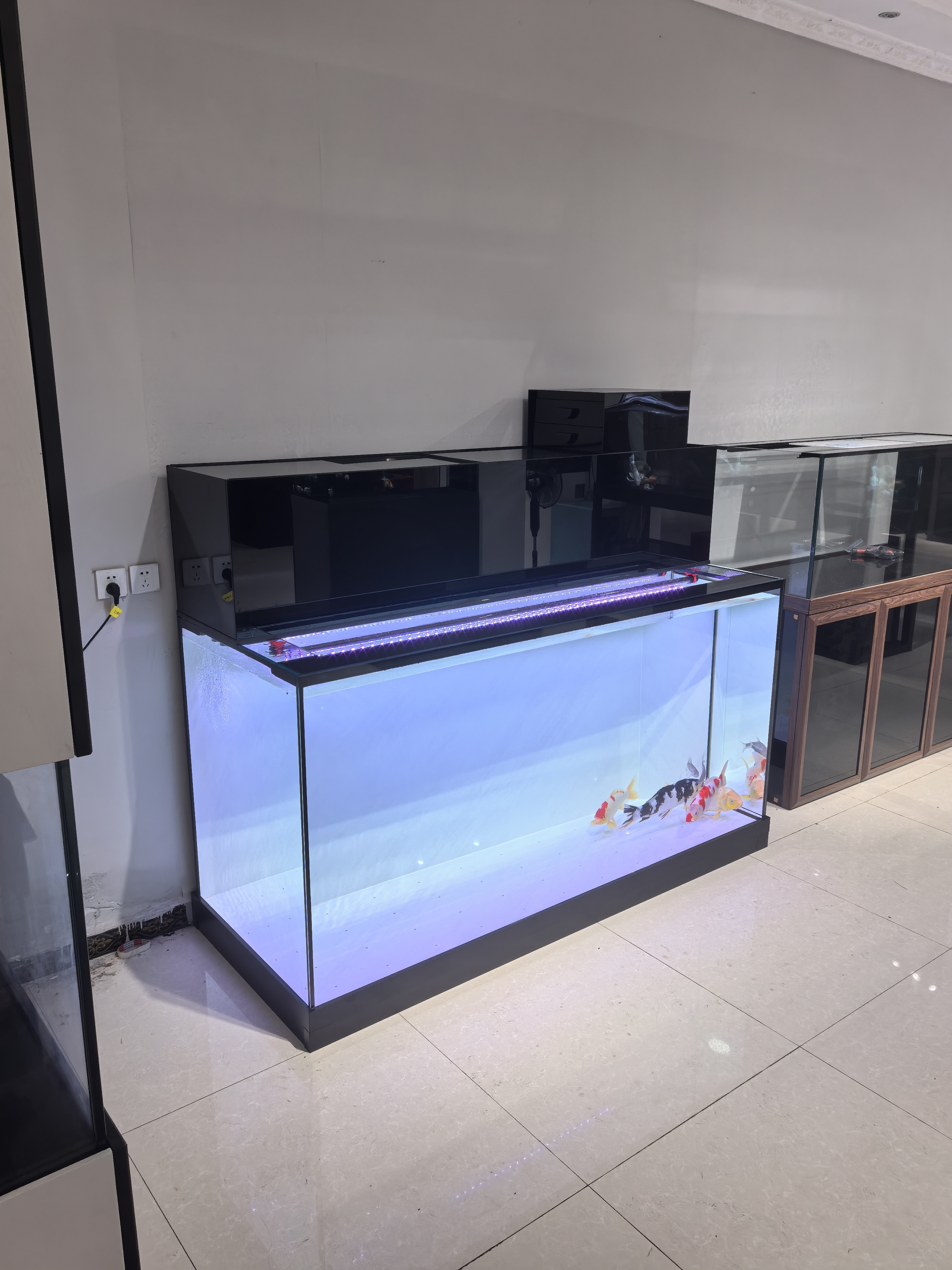 地缸锦鲤鱼缸吉罗鱼缸