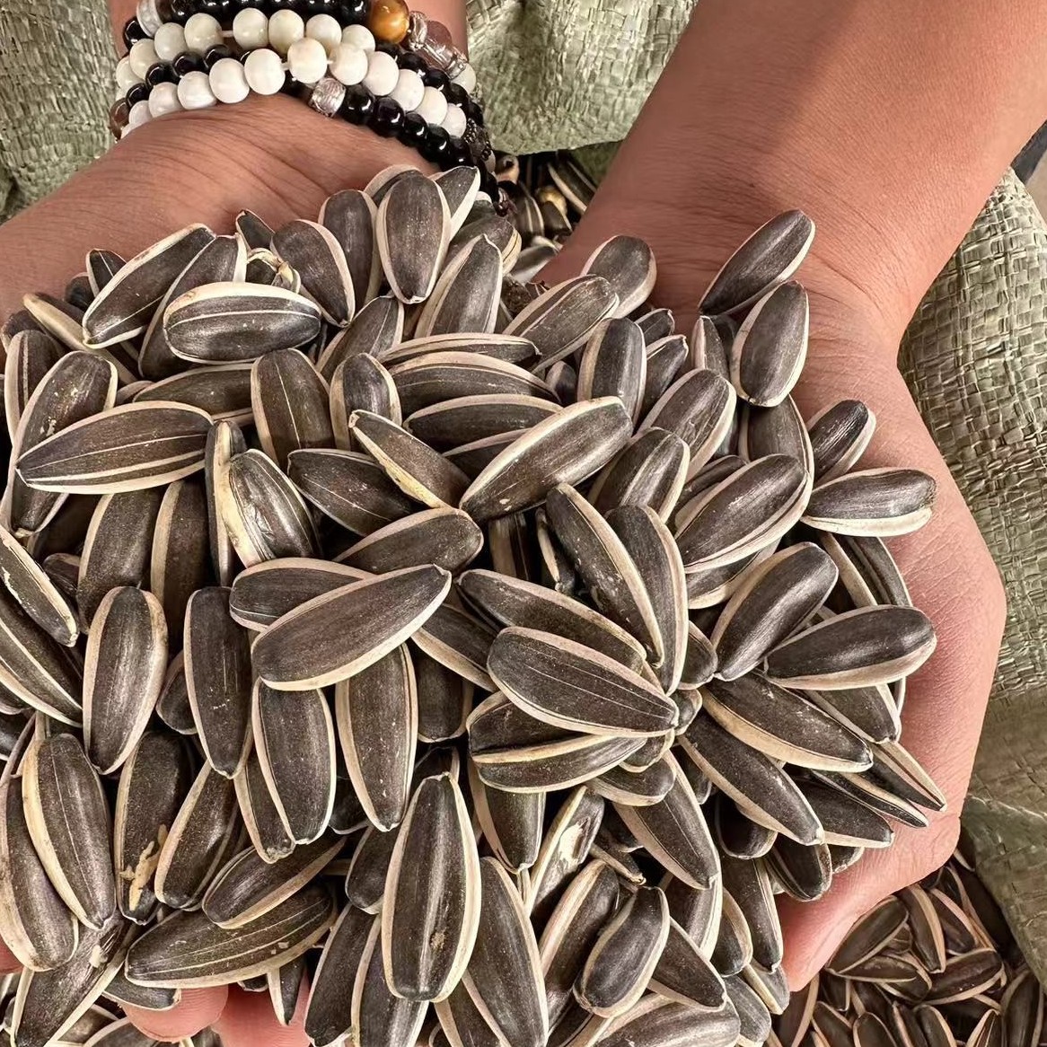 新疆和田生葵花籽2斤5斤生产包邮