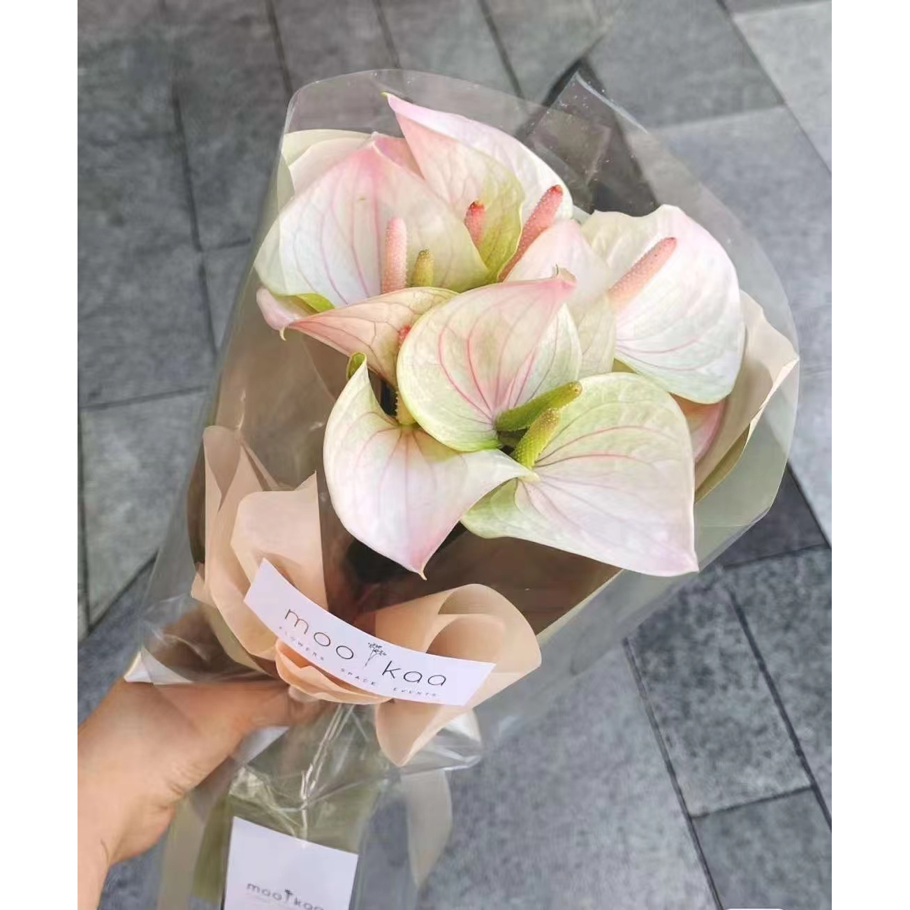 【掌品无限】梦幻之爱 鲜切红掌花卉室内植物耐放