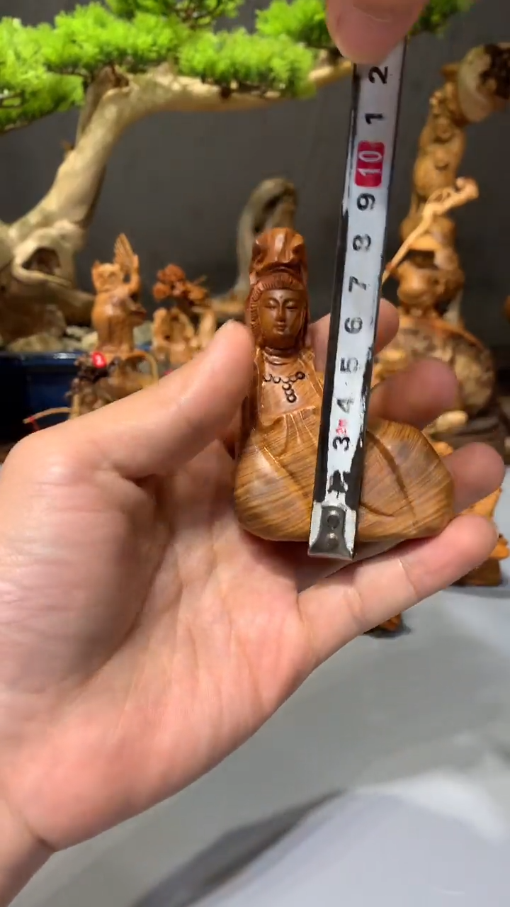 【闪购商品】崖柏·