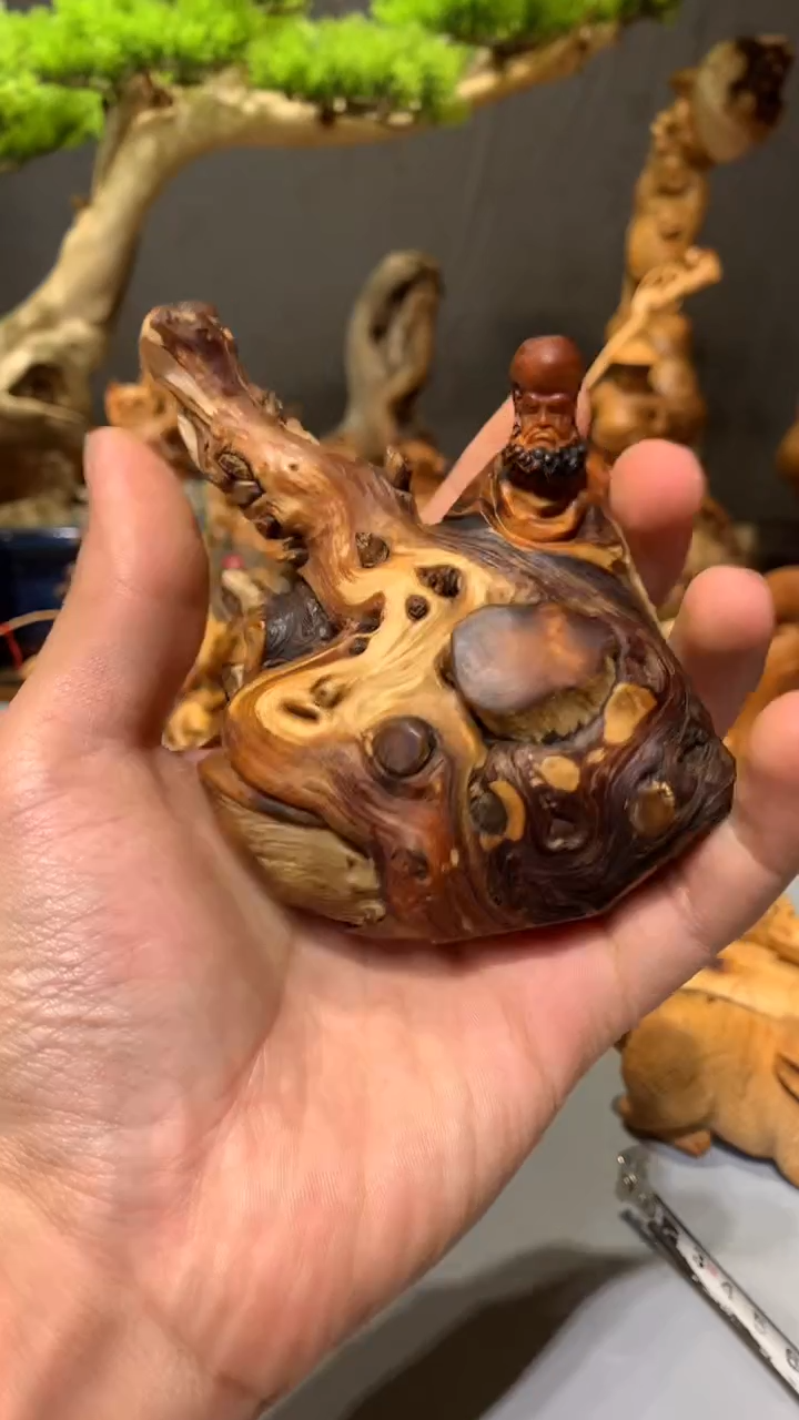 【闪购商品】崖柏·