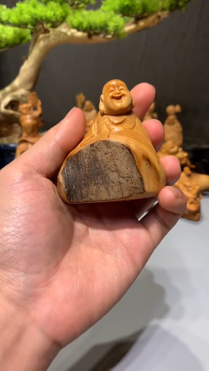 【闪购商品】崖柏·