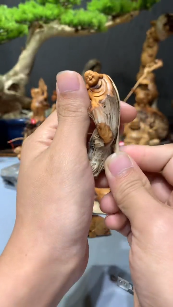 【闪购商品】崖柏·