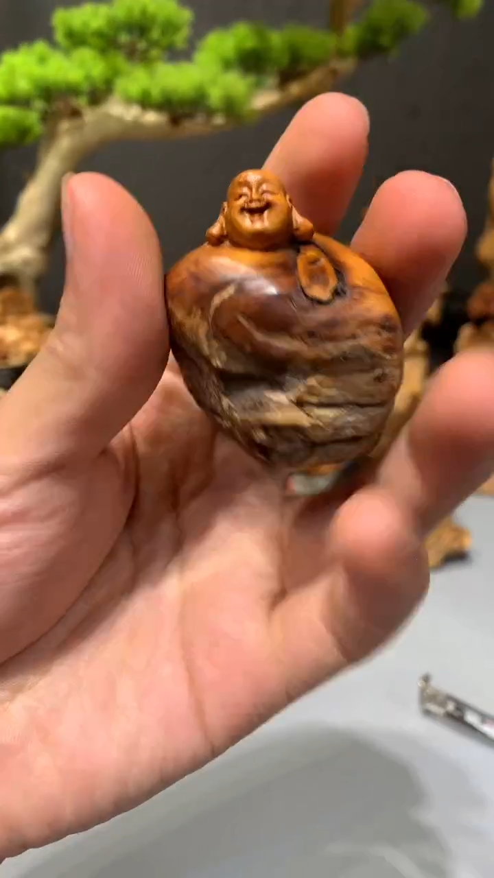 【闪购商品】崖柏·