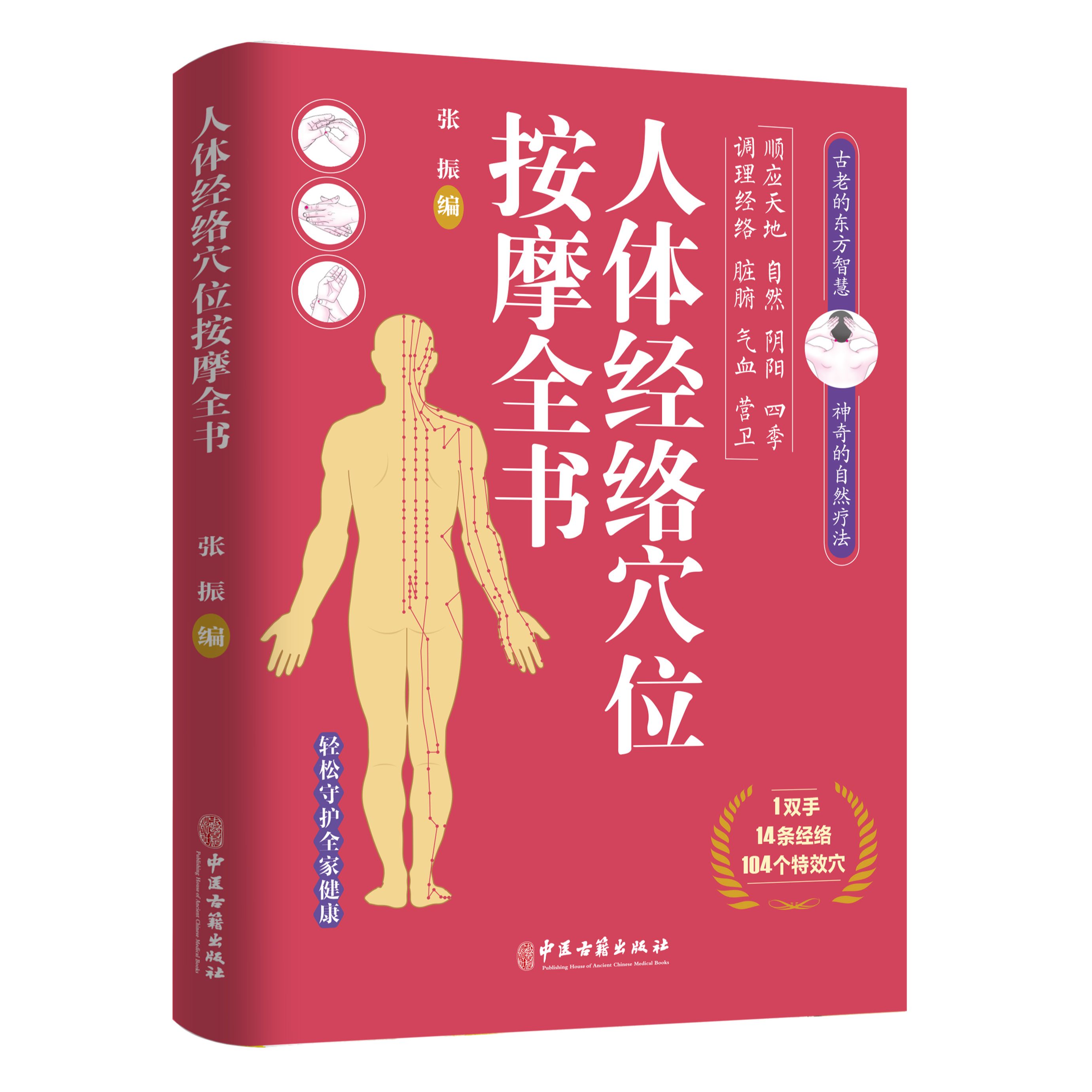 人体经络穴位按摩全书 日常养生原理基本手法工具书穴位图解正版
