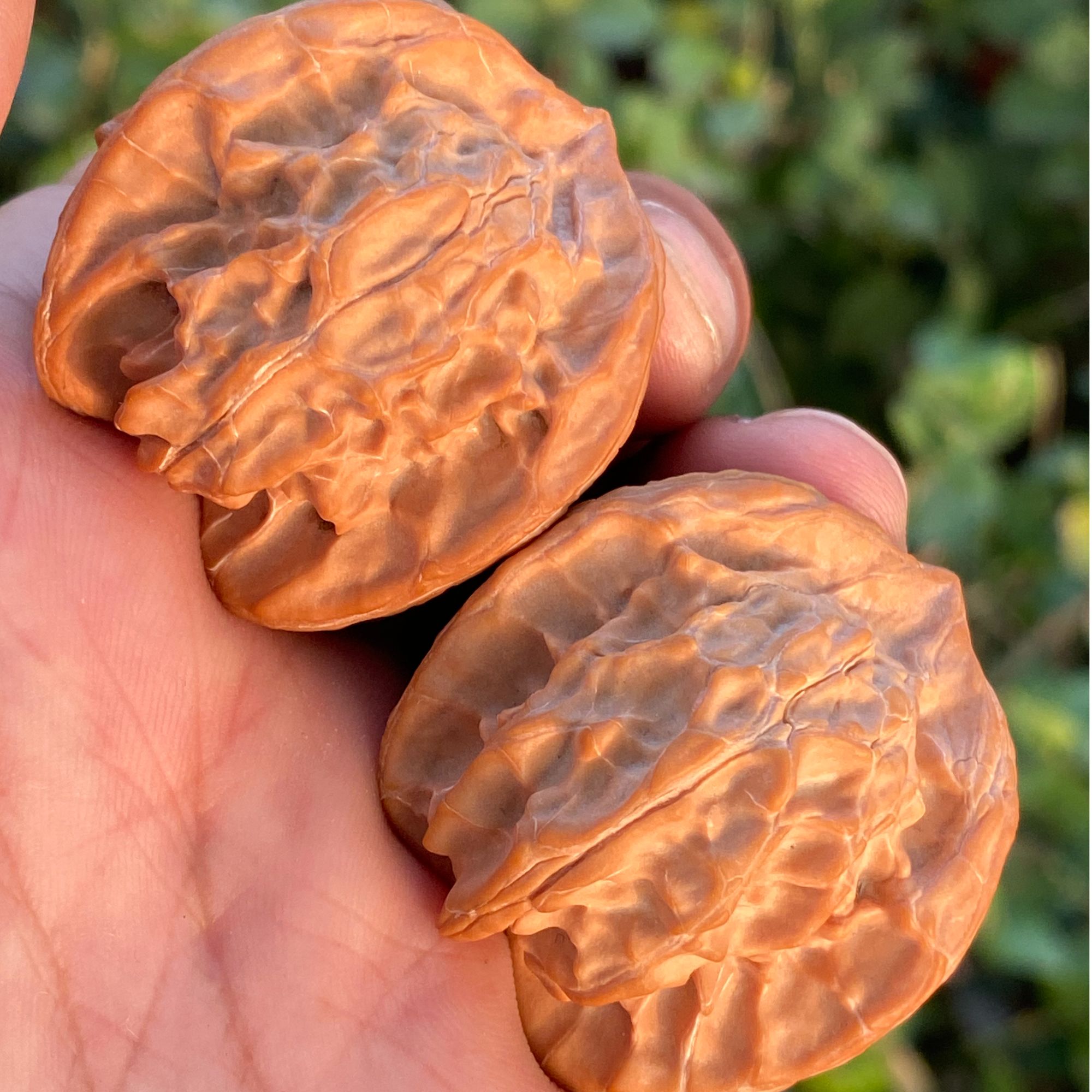 盘山公子帽三棱正奔文玩核桃