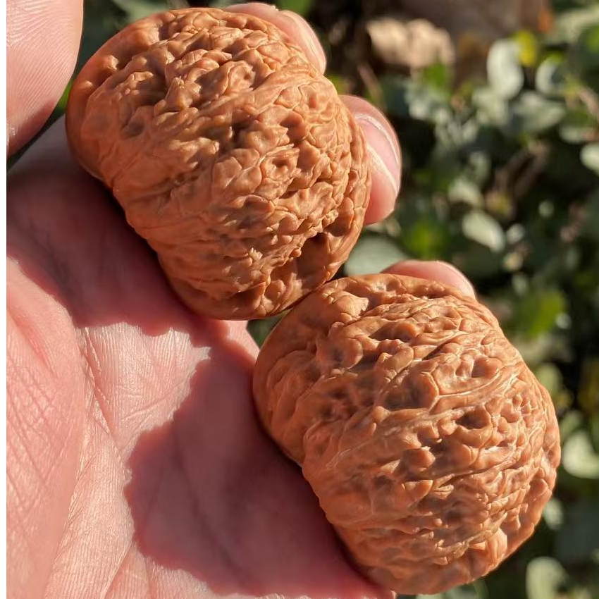 精品闷尖白狮子文玩核桃