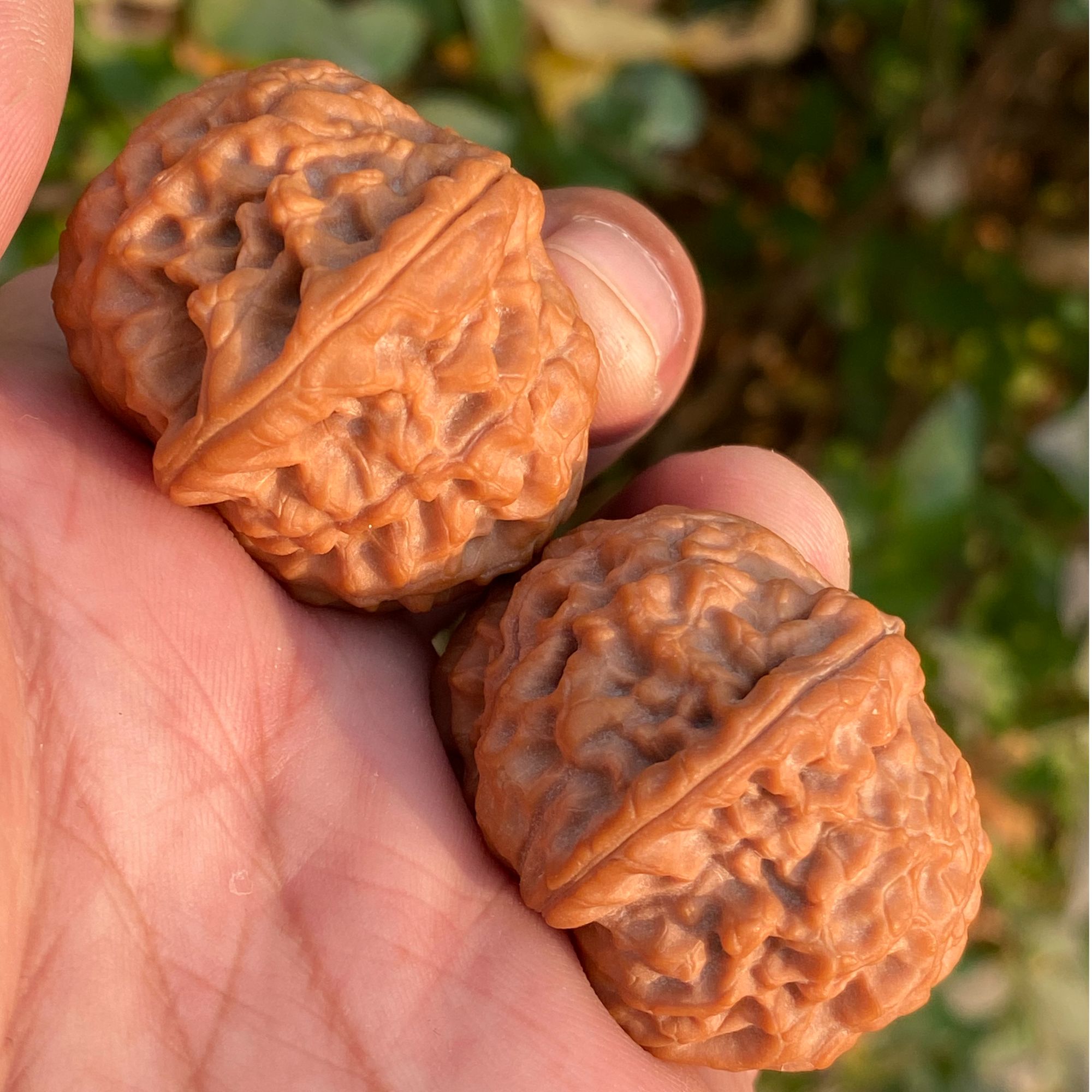 精品龙眼元宝狮子头文玩核桃