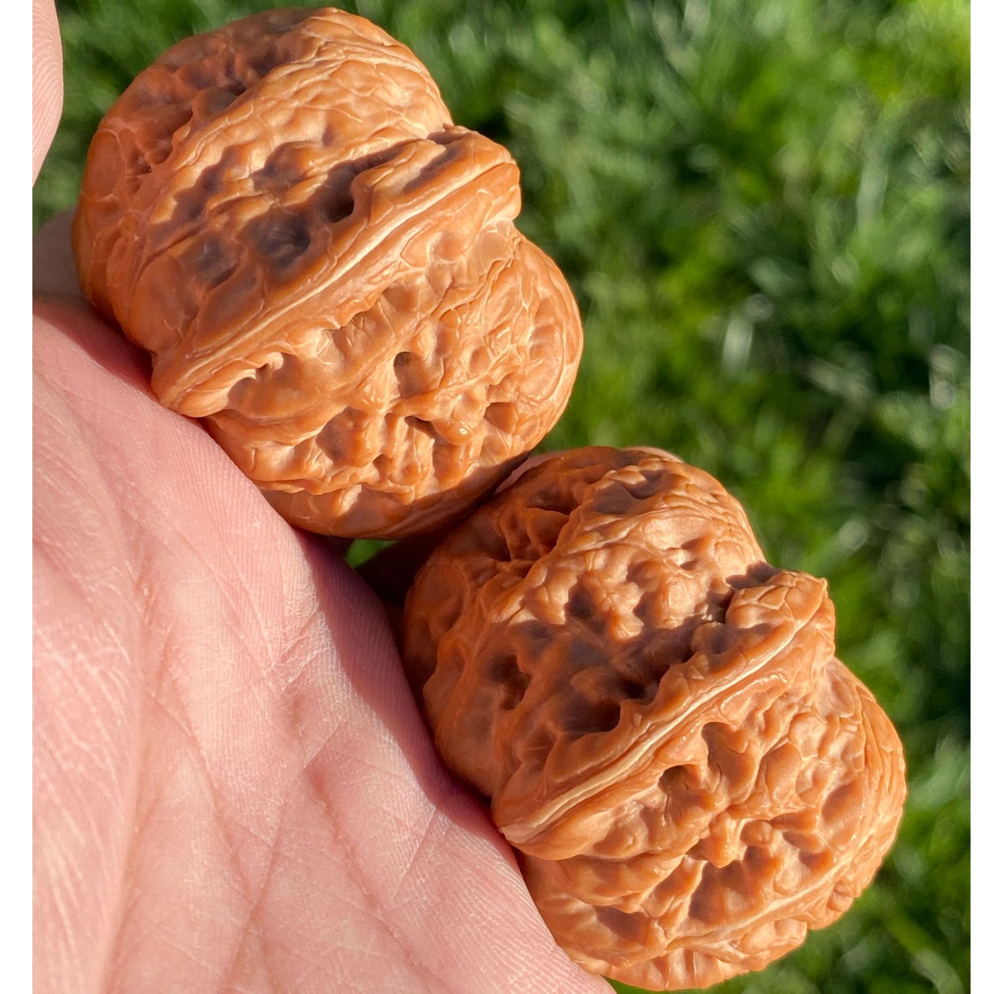 精品平谷翘肩元宝狮子头文玩核桃