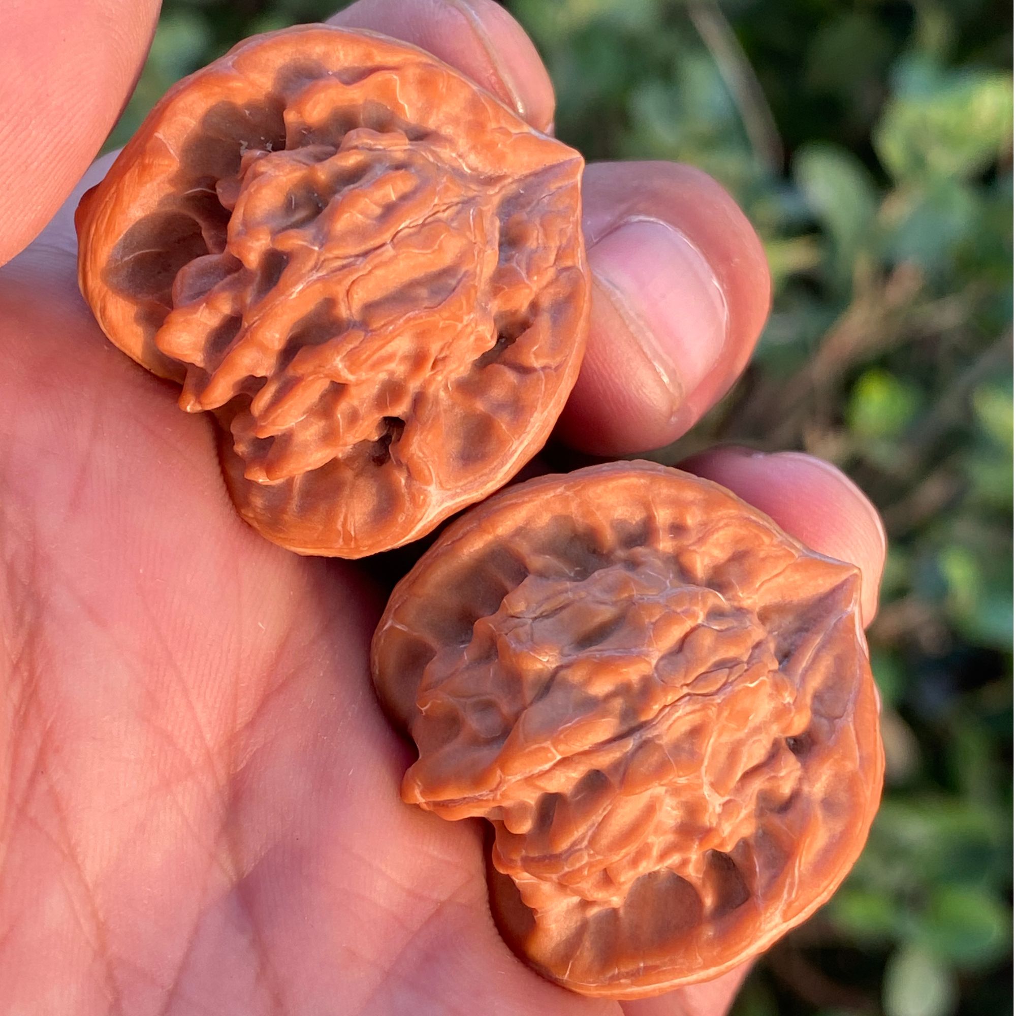 精品盘山公子帽三棱正奔文玩核桃