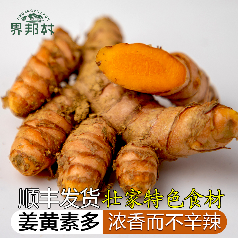 广西新鲜现挖秋姜黄/壮家黄姜月子姜手指姜药食同源姜黄素多1-5斤