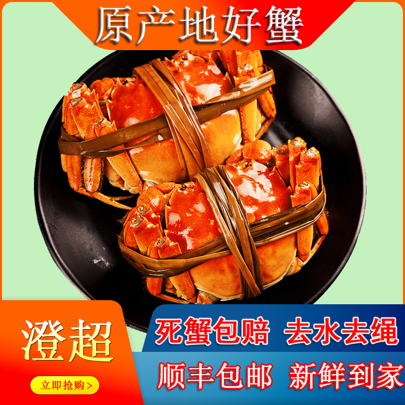 【公母活蟹】澄超精品河蟹公3.4-3.7两母3.4-3.7两 6只8只10只装