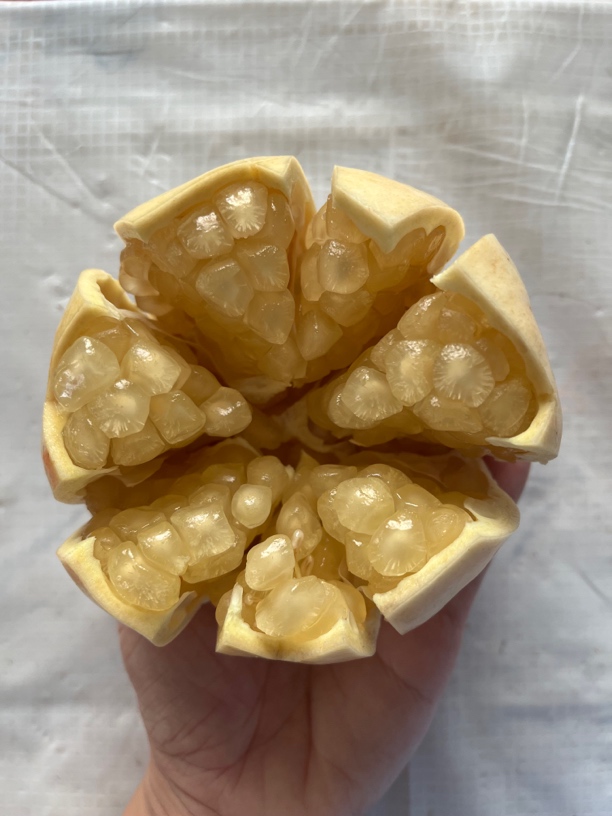 怀远正宗自产自销白花玉石籽石榴特大果10斤装