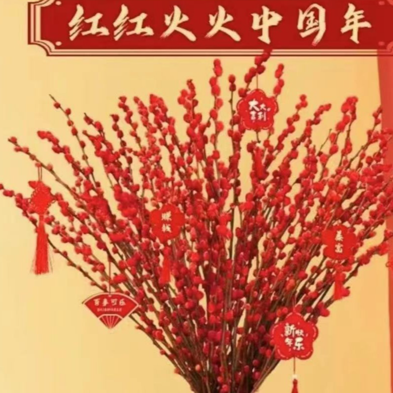 60cm干枝绿植绿植盆栽年宵花银柳千层金正宗水培植物金钱树罗汉松