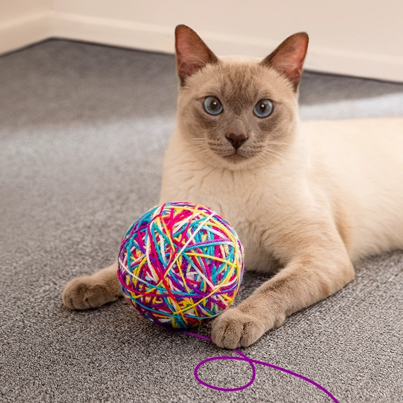 【玩具合集】组合玩具默认个别微瑕，介意勿拍，no退no换