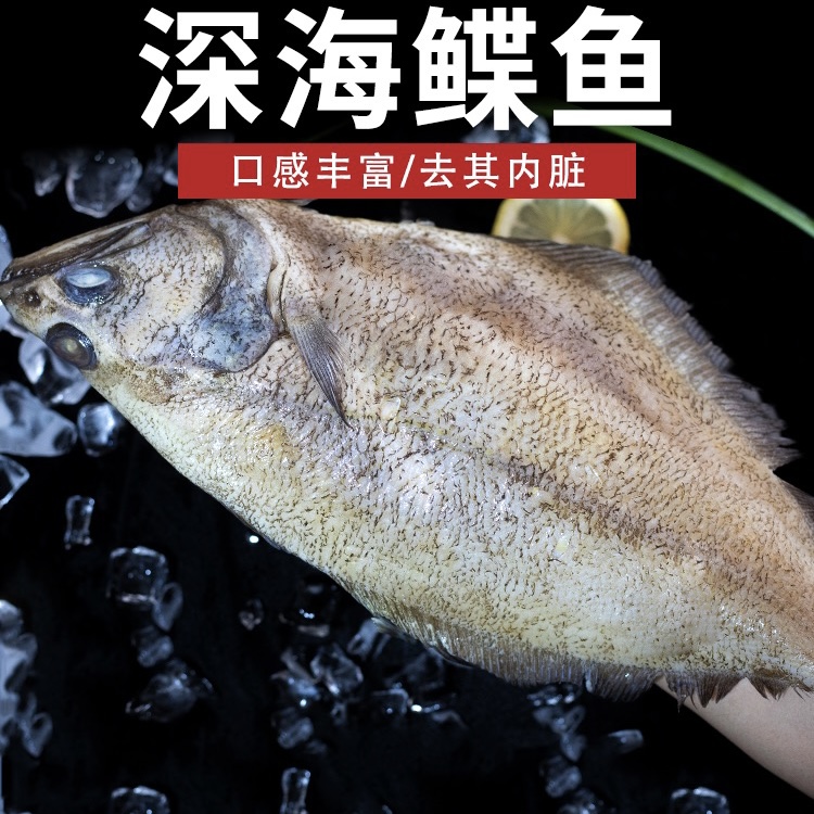【深海蝶鱼】二条 共四斤 同城当日达