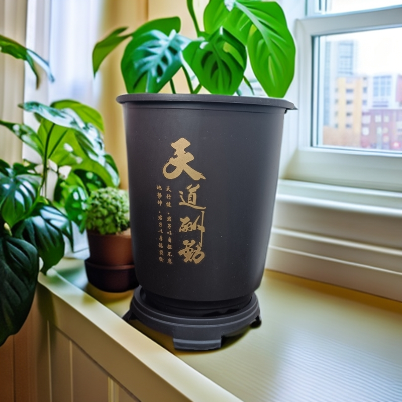 兰花专用国风花盆