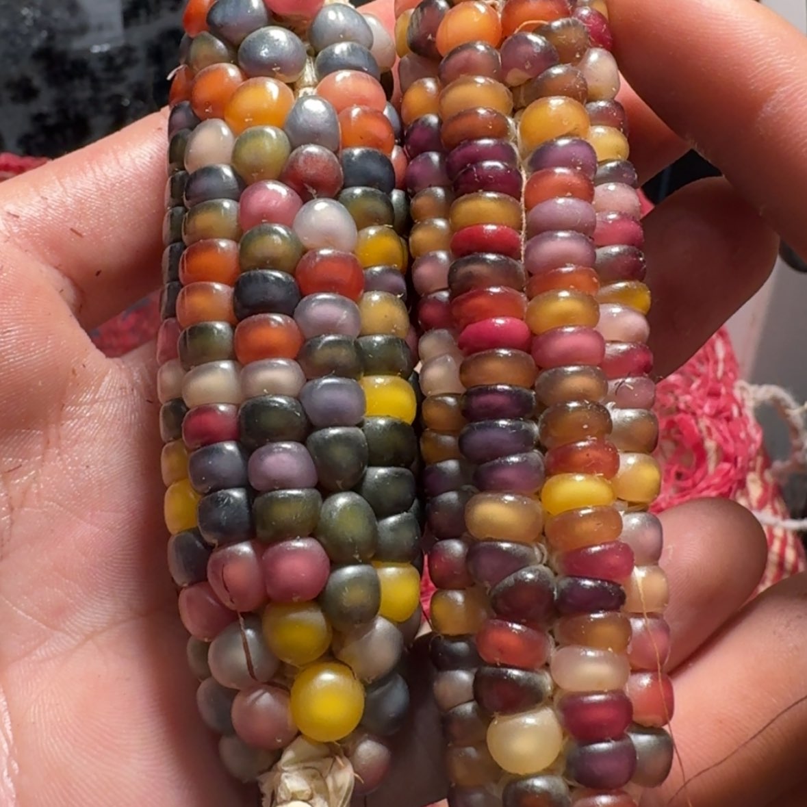 【闪购商品】土***服9898888888