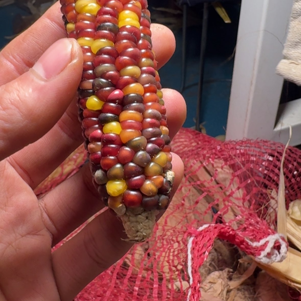 【闪购商品】i****e88888888888