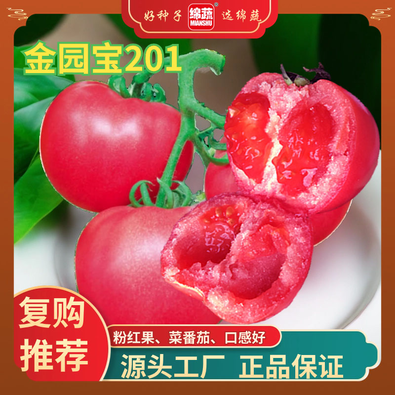 【金圆宝201】正宗沙瓤粉红果番茄西红柿种子大番茄可以生吃易种植