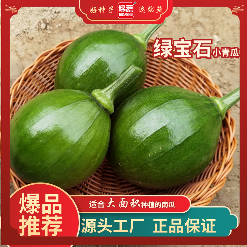 绵蔬【嫩又多】口感鲜嫩的小南瓜抗病高产种植简单春季蔬菜