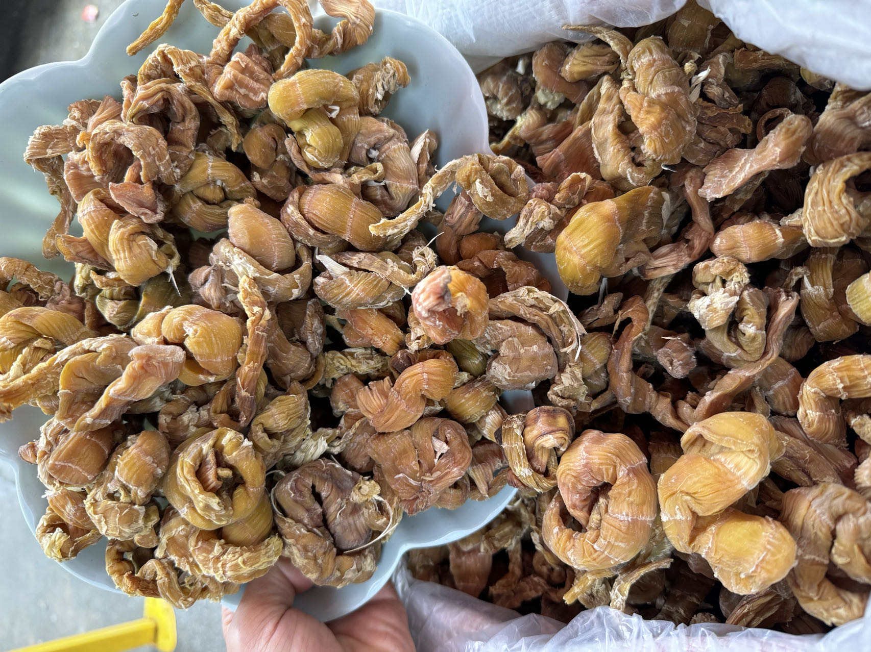 镇雄高山今年方竹笋