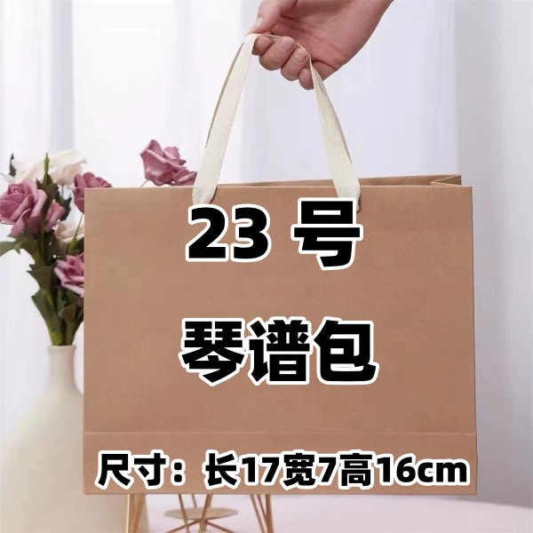 【23号】2023爆款单肩时尚小包琴普包休闲手提小包