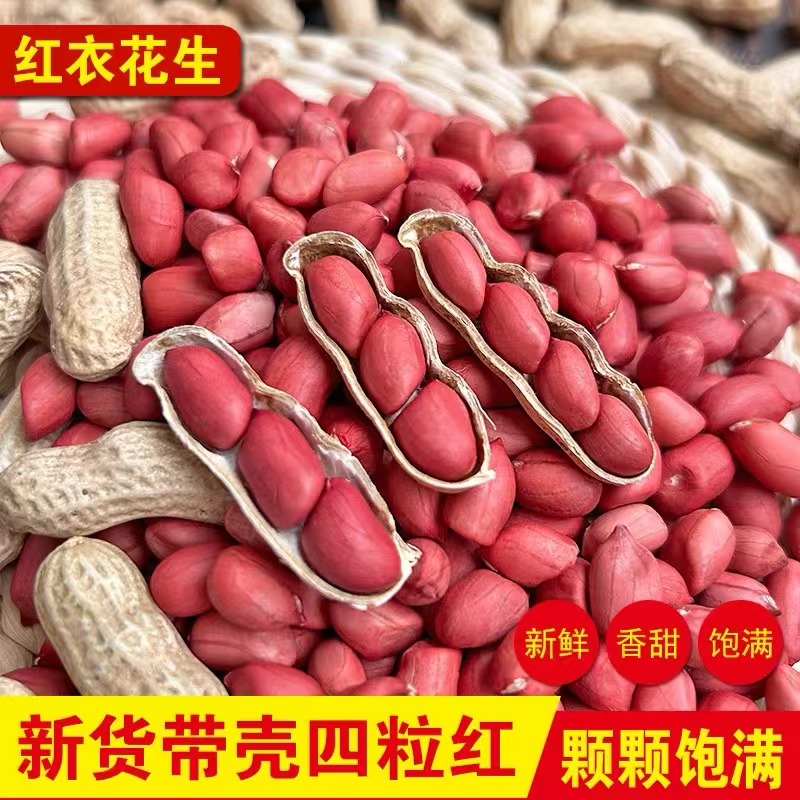 红皮花生农家新鲜带壳生四粒红花生米自种晒干
