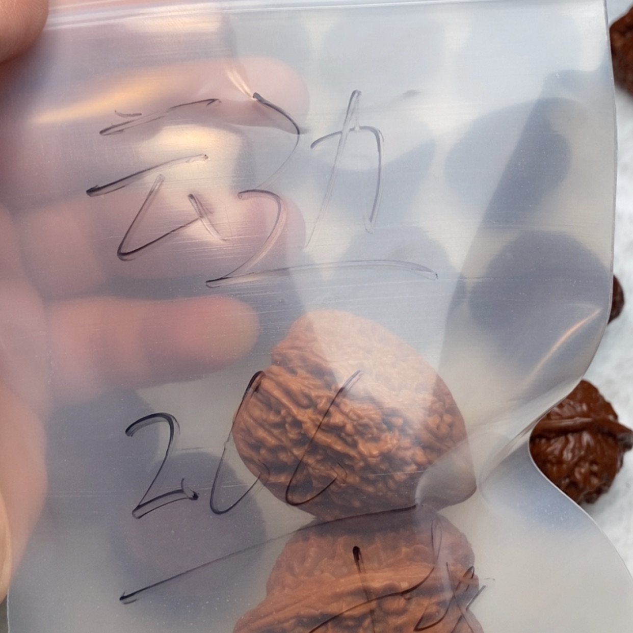 【闪购商品】文玩核桃吊坠云*?