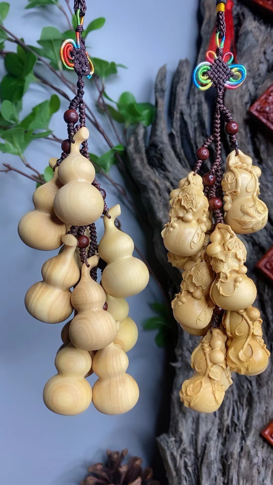 特惠：小叶黄杨  葫芦～福禄万代葫芦亦“福禄”，增寿、保福、纳财、聚富