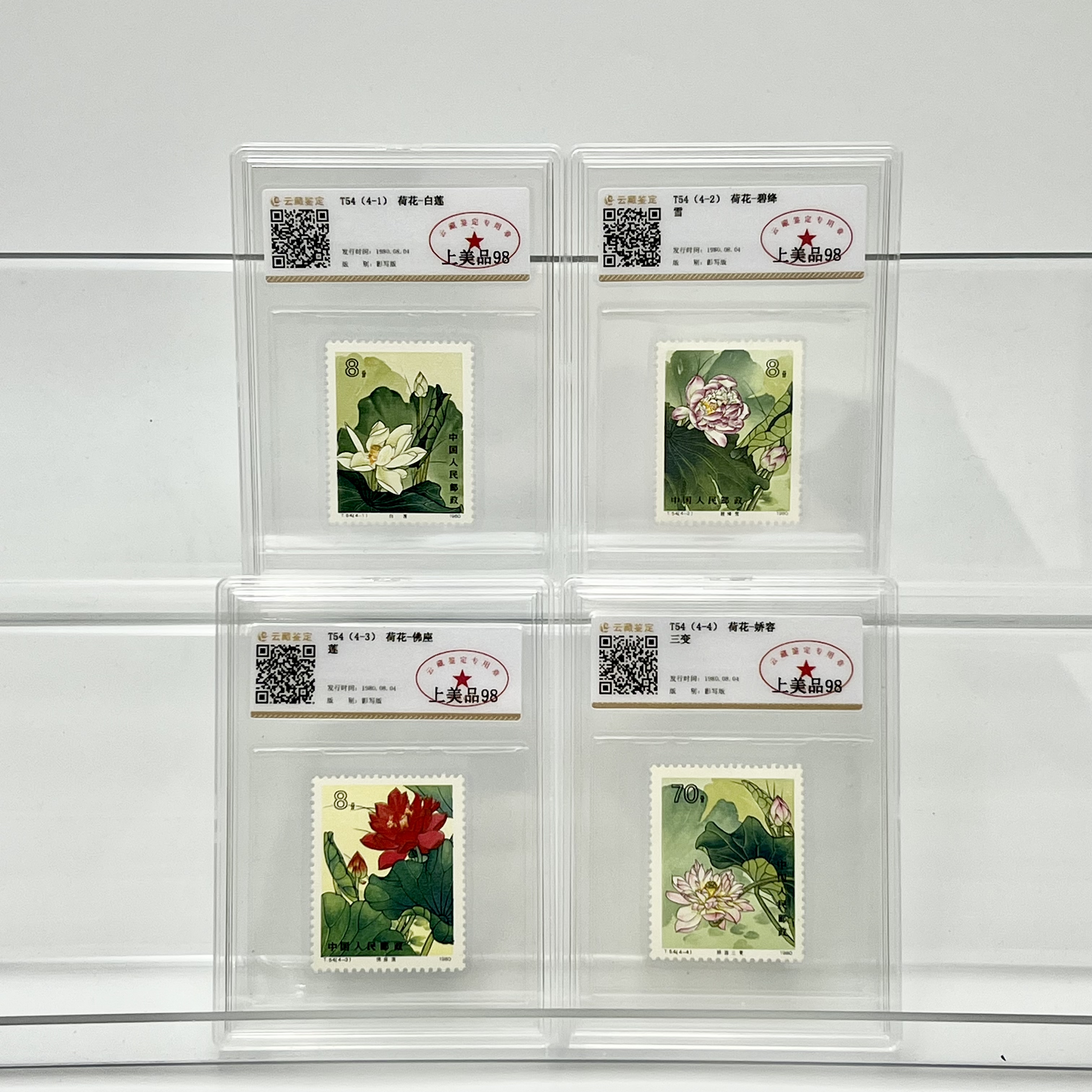 T54荷花邮票 (盒）