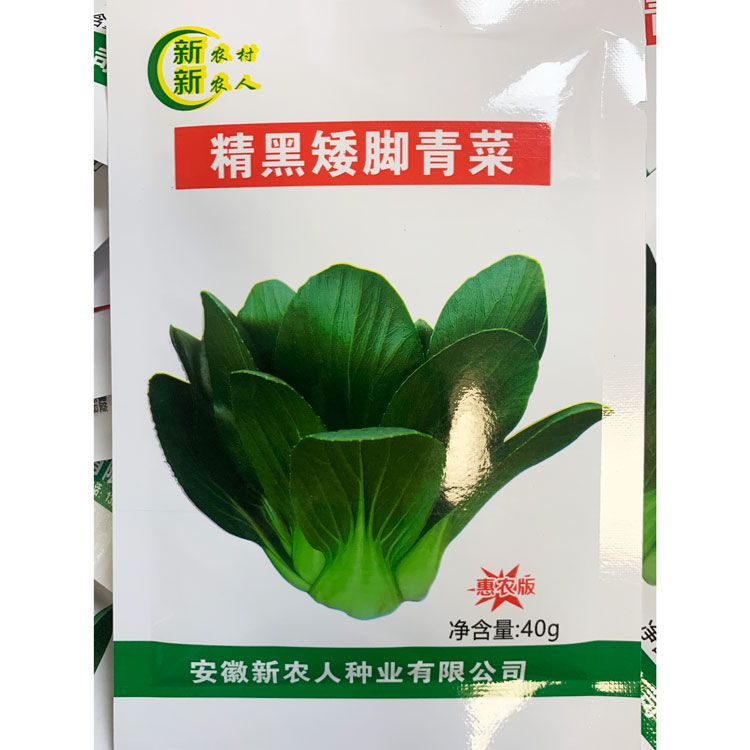 精黑矮脚青菜种籽高产四季播耐热黑叶矮箕苏州青种寒菜种子批发