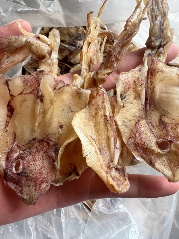 湛江特产特价船晒鱿鱼 炒菜/烧烤 250g/500g