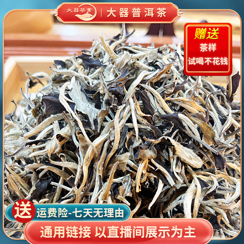100克23年南糯山紫鹃大树白茶散茶CS6250配茶样普洱茶